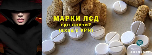 прущие грибы Абаза