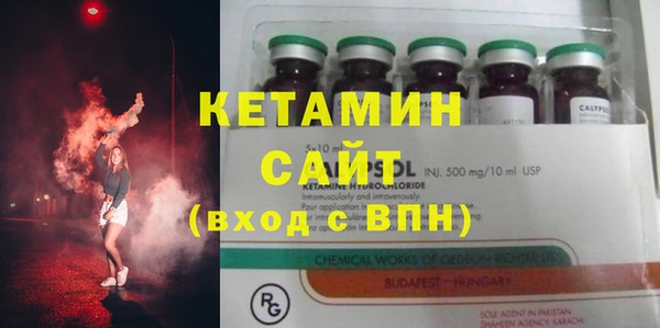 прущие грибы Абаза