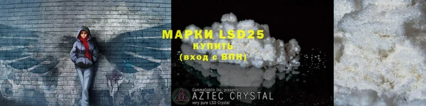 прущие грибы Абаза