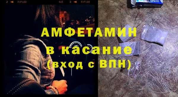 прущие грибы Абаза
