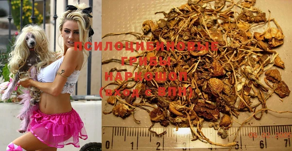 каннабис Абинск