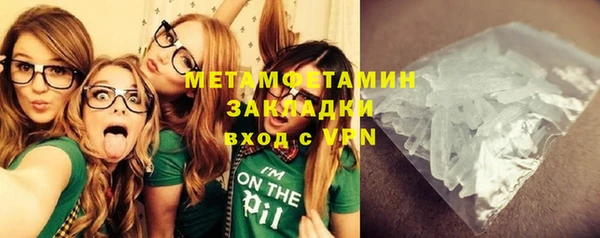прущие грибы Абаза