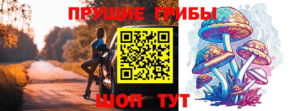 Орск  Псилоцибиновые грибы мицелий  где купить   Псилоцибиновые грибы Cubensis  Вход с VPN 
